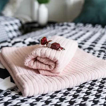 Cozy Mansard Old Town Aptartment, Ac