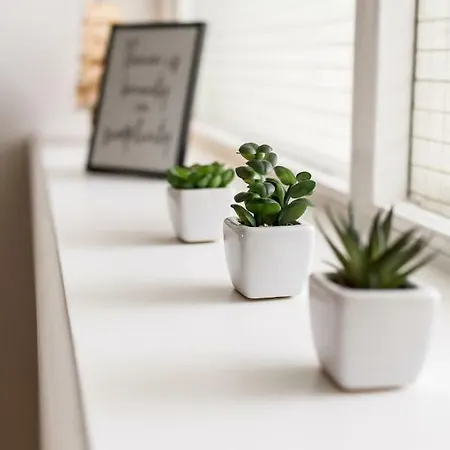 Cozy Mansard Old Town Aptartment, Ac Daire