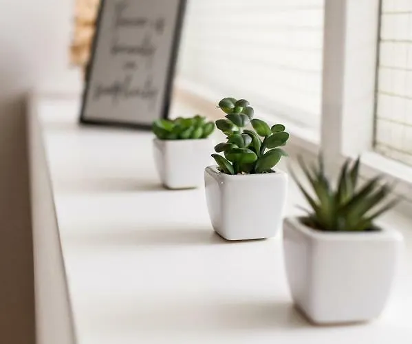 Cozy Mansard Old Town Aptartment, Ac Dzīvoklis